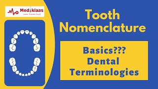 Tooth Nomenclature l Basics l landmarks l Dental Terminologies l Mediklaas [upl. by Timofei]