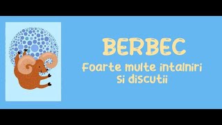 Berbec  Foarte multe intalniri si discutii  Februarie 2024 [upl. by Adnohsar394]