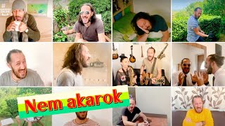 Kiskalász Nem akarok4 Bartos ErikaDalok itthonrólstudio version gyerekdalok kiskalász [upl. by Aralomo771]