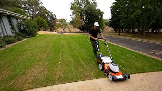 First Mow on My New Lawn  Ryegrass Overseed [upl. by Rutherford]