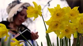 William Wordsworths daffodils poem I wandered lonely as a cloud [upl. by Oivaf]