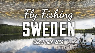 Lavezzinifly  Fly Fishing Sweden Crew Trip 2024 pesca a mosca lucci persici trote e temoli [upl. by Cressida]