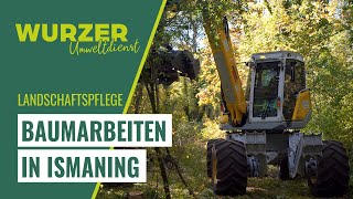 Wurzer Umweltdienst  Baumarbeiten in Ismaning [upl. by Gapin24]