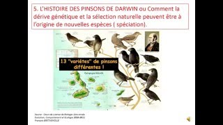 Modification des populations partie 3 Les pinsons de Darwin et lAdaptation [upl. by Benito]