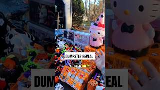 Epic dumpster haul reveal pt 1 This is trash dumpsterdiving shorts disney hellokitty christmas [upl. by Darla]