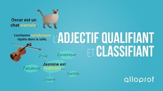 Ladjectif qualifiant et classifiant  Français  Alloprof [upl. by Uase]