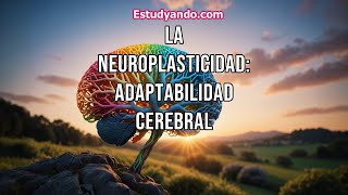 La Neuroplasticidad adaptabilidad cerebral [upl. by Ettezzus]