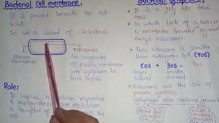 Bacterial Glycocalyx Slime And Capsule  Federal And KPK Board  Class 11 Biology [upl. by Ygief]