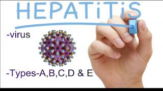 hepatitis b treatment in hindi hepatitis b ka upay in hindi [upl. by Retla]