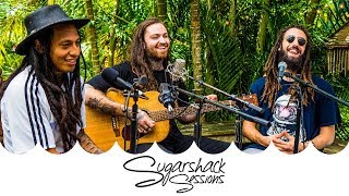 Iya Terra  Give Thanks Live Music  Sugarshack Sessions [upl. by Atsirc]