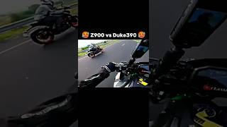 Z900 vs Duke390 dragrace 🥵 ytshorts automobile riding viralshorts shorts [upl. by Aicilihp866]