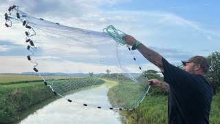 Netting 1000’s of mosquito fish for my backyard pond can’t believe what I caught [upl. by Pich]