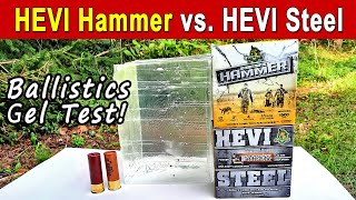 HEVI Hammer vs HEVI Steel  Ballistics Gel amp Pattern Test [upl. by Acquah]