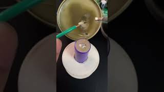 How To Use Solder Paste Short Video soldering [upl. by Cletus998]