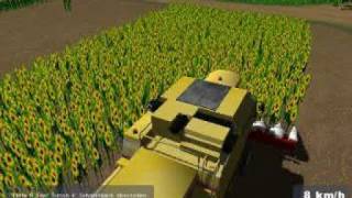 Landwirtschafts simulator 2008 Sunflower Harvest [upl. by Bivins]