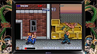 FINAL DOUBLE DRAGON  Avances  Testing SNAKE From POW Arcade Game [upl. by Eerol553]