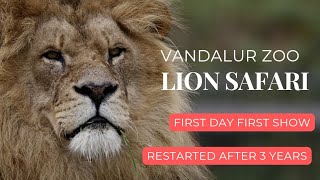 Vandalur Zoo Lion Safari  1st day 1st Show  Inagurated by TN Forest MinisterBest Zoo Safari wild [upl. by Festus]