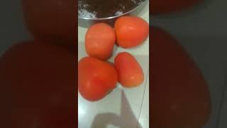 Tisi ke recipe shortcooking video Khushboo ka Lifestyle [upl. by Birchard]