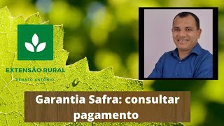 Garantia Safra Como consultar pagamento [upl. by Hteb]