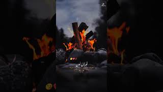 Tasbih Song  With Lyrics  Murshad Writesshorts viral shortsvideo [upl. by Grimbal317]