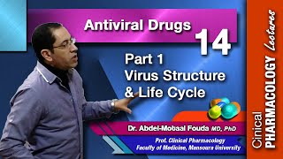 Antiviral Chemotherapy  Part 1 virus structure and life cycle [upl. by Perloff]