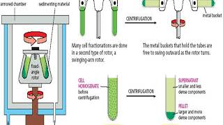 Centrifugation Process 1 15 محاضرة رقم [upl. by Anaehr]