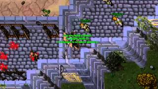 Tibia  In Service Of Yalahar Mission 5 Quest [upl. by Eeresid]