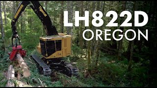 Tigercat LH822D Harvester in Oregon [upl. by Hyman638]