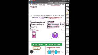 Microbiology Lec 3  Shaghaf 🩵 [upl. by Imas13]