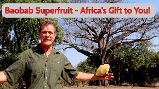 Baobab Superfruit  Africas Gift to You [upl. by Glad550]