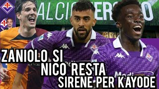 FIORENTINA CALCIOMERCATO  ZANIOLO VEDE VIOLA  NON CEDIAMO KAYODE  NICO RESTA DA LEADER [upl. by Derreg]