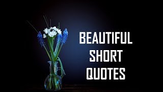 Beautiful Short Quotes  Life Lessons [upl. by Abita552]