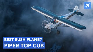 Piper PA18 Top Cub  Best STOL Bush Plane  History Specs and InDepth Review [upl. by Silda]