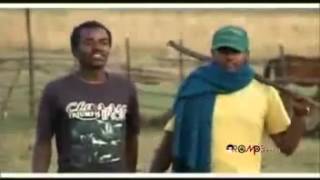 Hawi Tezera  Abichu New Oromo Music 2013 [upl. by Carney]