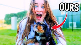 SURPRISING HER WITH THE BEST PUPPY BREED FOR KIDS emotional wNorris Nuts [upl. by Ralfston]