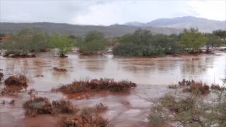 Kayenta amp Snow Canyon Flash Flood [upl. by Mafala855]