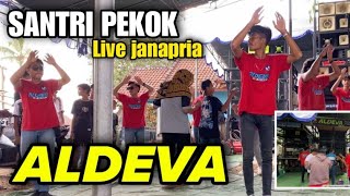 SANTRI PEKOK  ALDEVA Versi Terbaru dijamin bikin mau PARGOY TERUS [upl. by Aivlis966]