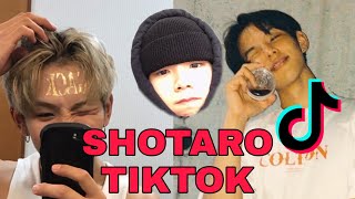 NCT 2020  SHOTARO OSAKI ALL TIKTOK VIDEOS [upl. by Ruffin162]