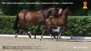 Lot 4 v Dourkhan Hero Z  Askari [upl. by Anaeli]