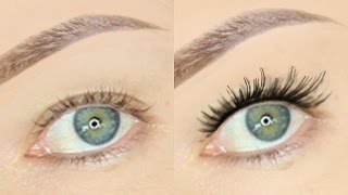 How to Apply False Lashes on HOODED EYES  Stephanie Lange [upl. by Mersey]