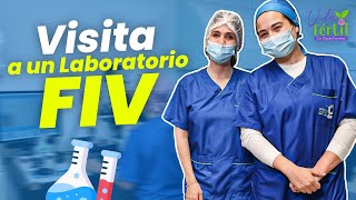 Visita a un laboratorio FIV  Vida Fértil  EP 10 [upl. by Tremml]