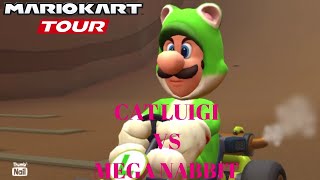 Cat Luigi vs Mega Nabbit [upl. by Sacha]