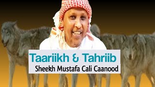 Taariikh amp Tahriib  Sh Mustafa Cali Caanood [upl. by Gilead]