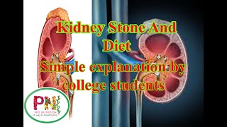 Kidneyrenal stones nephrolithiasis  causes symptoms dietary suggestions [upl. by Matty316]