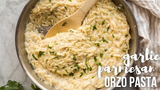 Garlic Parmesan Orzo Pasta made in one pot  The Recipe Rebel [upl. by Dranyam]