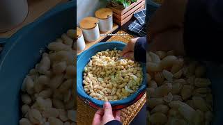 Kacang goreng bawang putih rangup dan sedap [upl. by Niknar]