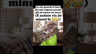 Già 😿😿😹😹😻😻catmeme catlover gattitaliani gattini gattoni amoremio amore relazioni bff❤️ [upl. by Irma648]