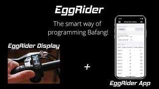 EggRider V2 Bafang programming [upl. by Fernand]