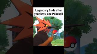 Galarian Birds After you Throw the First Ball pokemon pokemongo shinypokemon pokemontcg [upl. by Alrzc650]