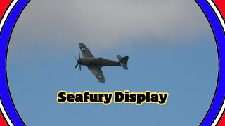 Seafury Display [upl. by Noinatrad845]